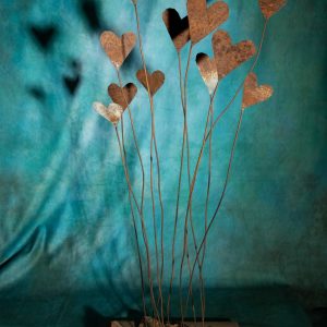 Legno e lamiera fertili